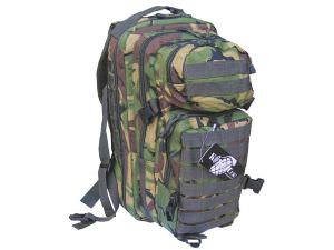 28 Ltr Molle Assault (click for enlarged image)